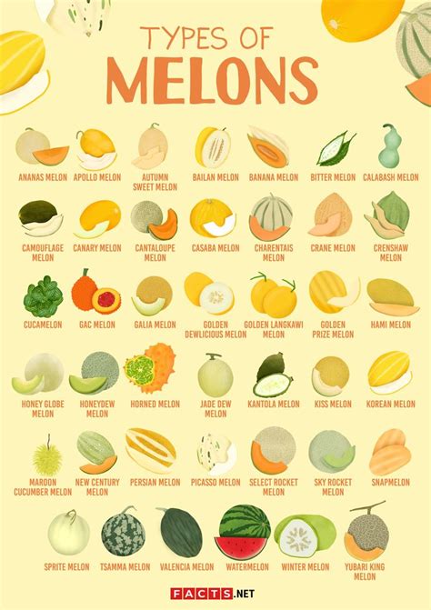 Melons of the World: 13 Melon Types 